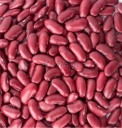 红芸豆农作物
