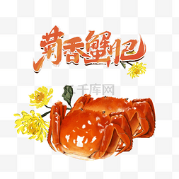 大菊图片_手绘美食菊香大闸蟹