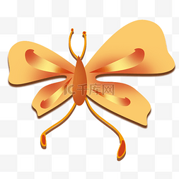彩色精美的蝴蝶插图