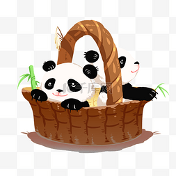 小可爱熊猫图片_篮子熊猫
