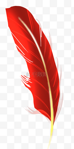 火红的炉盆图片_火红色羽毛
