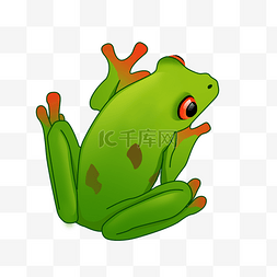 手绘卡通绿色青蛙图片_可爱绿色青蛙PSD透明底