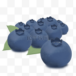 蓝莓水果绿叶营养健康