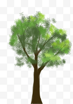 排排小树图片_绿色小树树叶