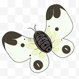 展翅的白色蝴蝶插画