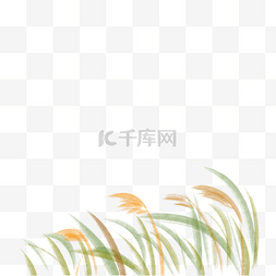 字体风吹效果图片_风吹摇摆的芦苇