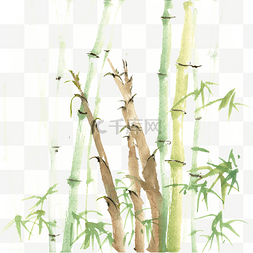 手绘风春季图片_竹林中的竹笋