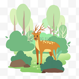 森林里的梅花鹿