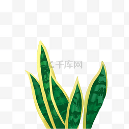 手绘绿植物热带植物矢量图PNG图