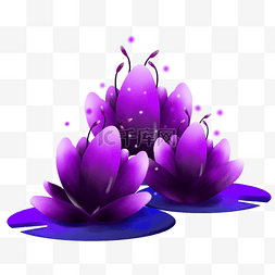 梦幻花图片_梦幻紫色花朵睡莲