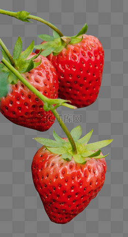 草莓味儿雪糕图片_草莓水果