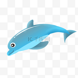 海洋海豚卡通动物