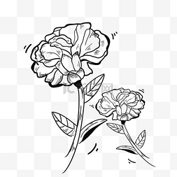 涂鸦手绘植物图片_母亲节康乃馨涂鸦花朵