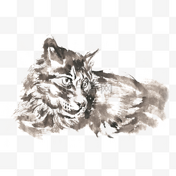 手绘写实宠物图片_严肃的小猫水墨画PNG免抠素材