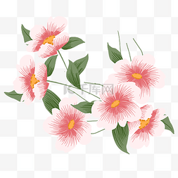花朵工笔画图片_粉红色刺绣花朵