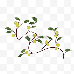 绿叶黄色果子藤蔓免抠插图