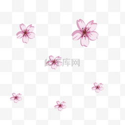 漂浮粉色花朵