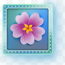 立体按钮粉色图片_方形花卉按钮