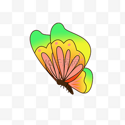 漂亮的彩色花纹蝴蝶