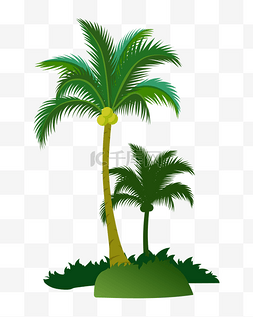 椰子树树木