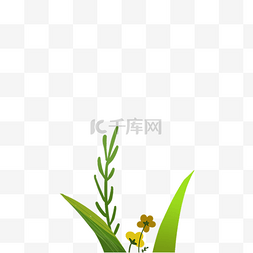 绿色的植物免抠图