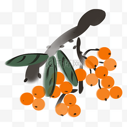 水果画水墨枇杷