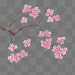 粉红色樱花樱花树