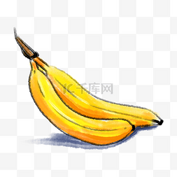 成熟的两根香蕉插画