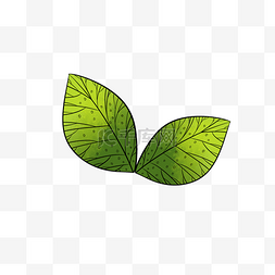 手绘绿色植物花纹图片_绿色植物叶子透明底免抠