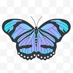 美丽的彩色蝴蝶插画