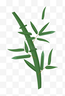 春天的竹子图片_绿色植物小清新竹子