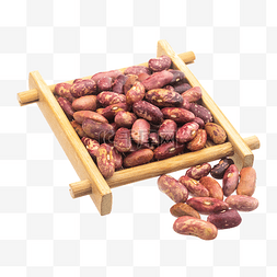 斑马豆豆子