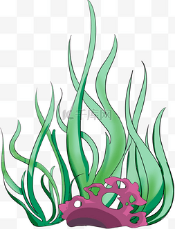 海藻珊瑚图片_一丛海藻珊瑚