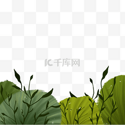 绿色森林植物图片_绿色的森林植物免抠图