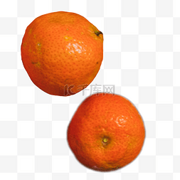 两个橘子水果果子