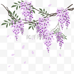 唯美紫藤花