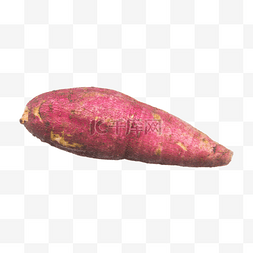 紫色食物番薯