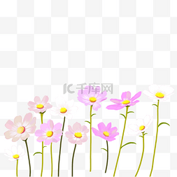 紫色手绘鲜花图片_上开满格桑花PNG