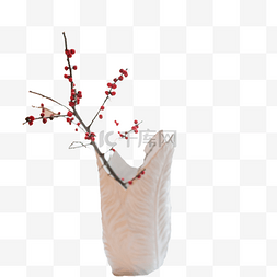 红色野果图片_一个现代化的花瓶