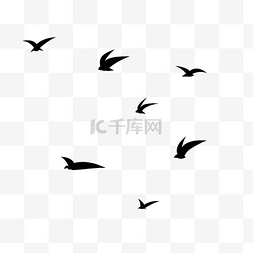 鸽子鸟群素材图片_天空飞翔鸟群