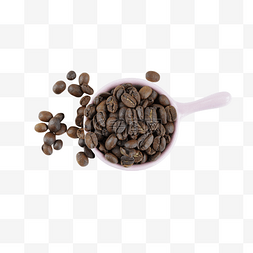南非咖啡豆