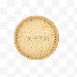 粮食主食水稻