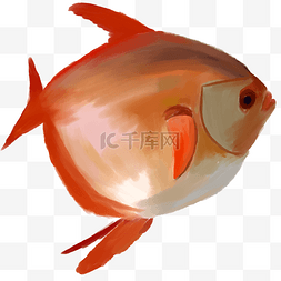 红色卡通海鱼插画