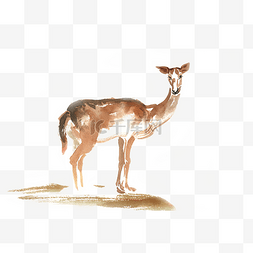 眺望手绘图片_水彩动物眺望的小鹿