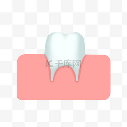 人体器官牙齿
