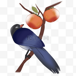 小鸟和树枝图片_霜降小鸟和柿子