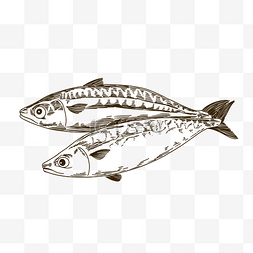 鱼类海鲜食材