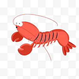 可爱的大虾图片_可爱的海鲜龙虾插图