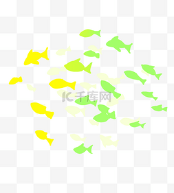 热带鱼群小鱼