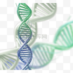 三叶草清新背景图片_3d清新绿色dna螺旋元素